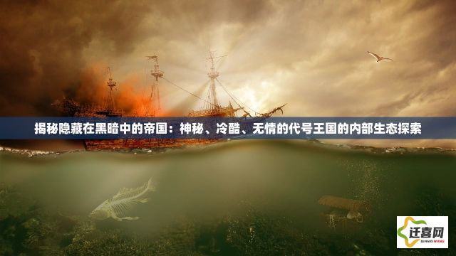 揭秘隐藏在黑暗中的帝国：神秘、冷酷、无情的代号王国的内部生态探索