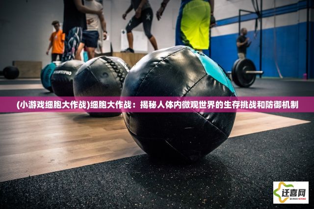 (小游戏细胞大作战)细胞大作战：揭秘人体内微观世界的生存挑战和防御机制