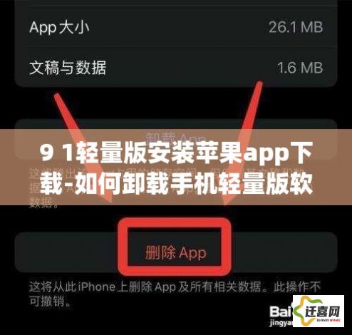 9 1轻量版安装苹果app下载-如何卸载手机轻量版软件v4.6.6官方安卓版