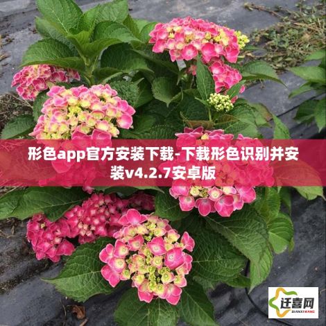 形色app官方安装下载-下载形色识别并安装v4.2.7安卓版