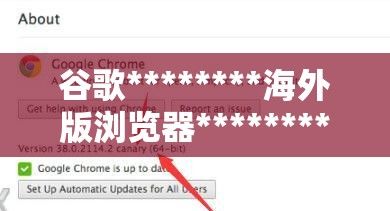 谷歌********海外版浏览器********了解谷歌浏览器： 海外版特性探索与用户体验优化秘籍下载-谷歌国际版v0.5.0官方版