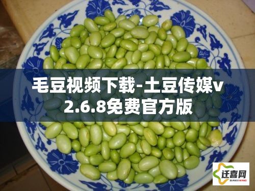 毛豆视频下载-土豆传媒v2.6.8免费官方版