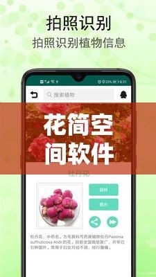 花简空间软件下载-有一款软件叫简什么的v9.5.0官方安卓版